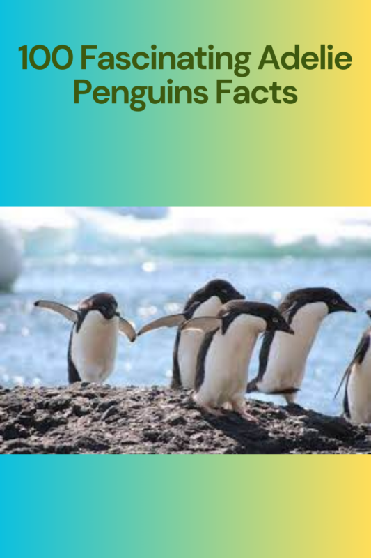 100 Fascinating Adelie Penguins Facts