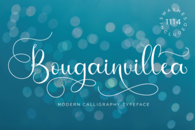 Best Elegant Fonts with Swashes Bundle