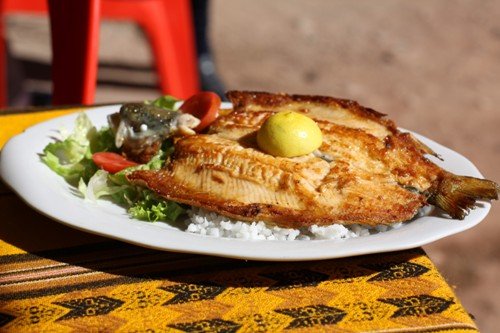 玻利维亚炒的鳟鱼菜