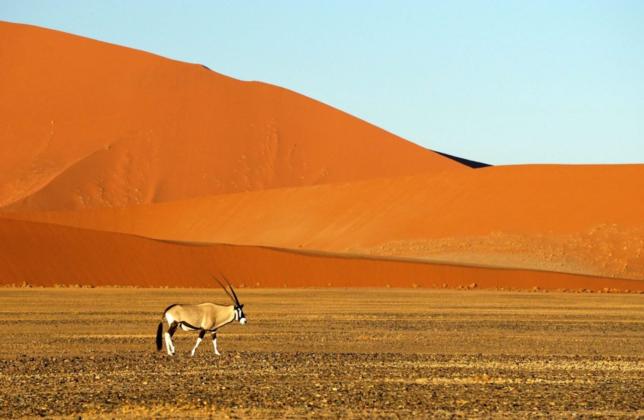 Namib-Naukluft国家公园