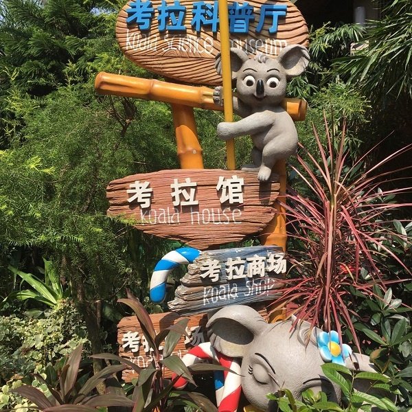 广东广州长隆动物园考拉科普特考拉馆树袋熊广州亲子游