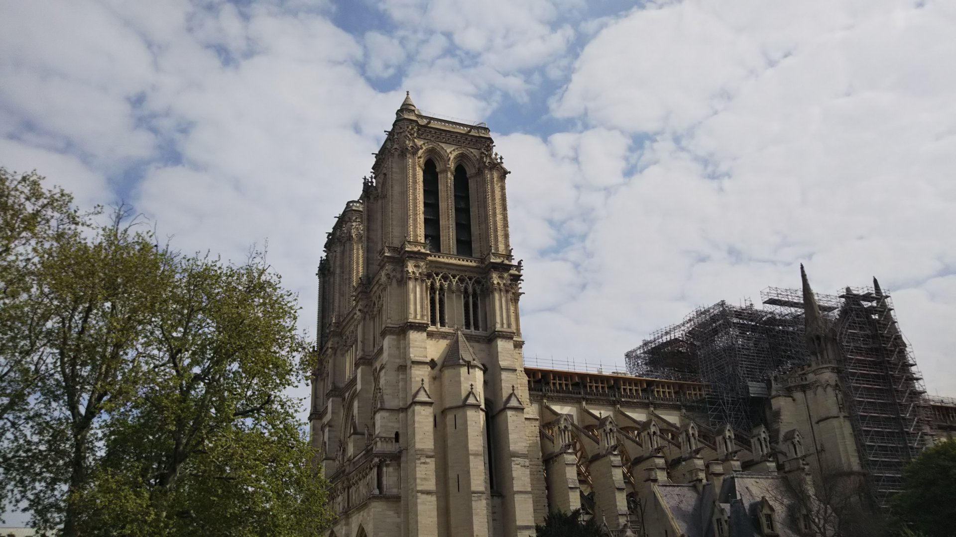 外出規制解除されたらフランス人🇫🇷はどうするのか❓