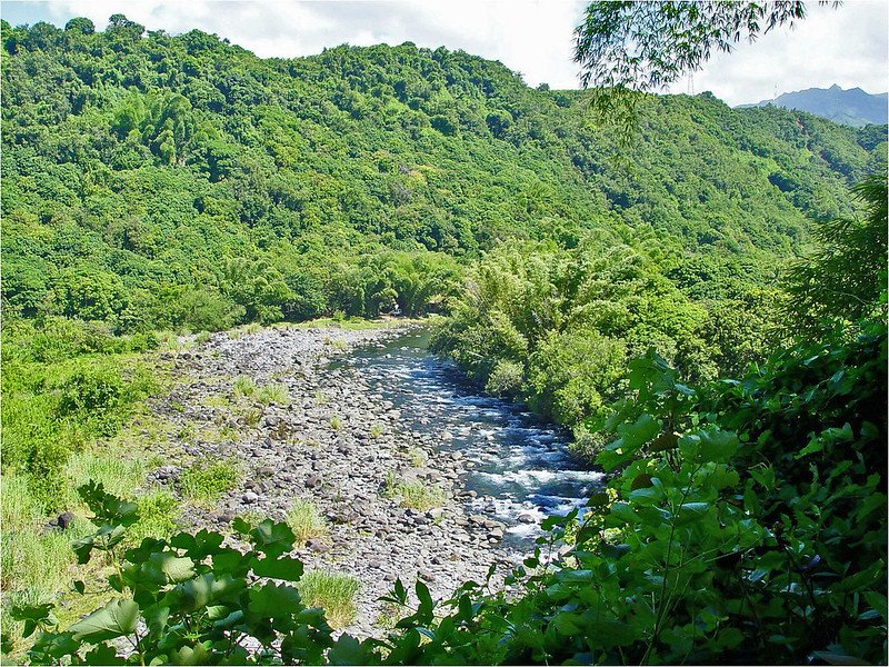 游览留尼旺岛：伯利恒岛