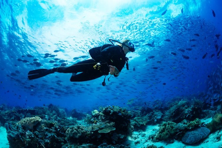 马约特岛潜水