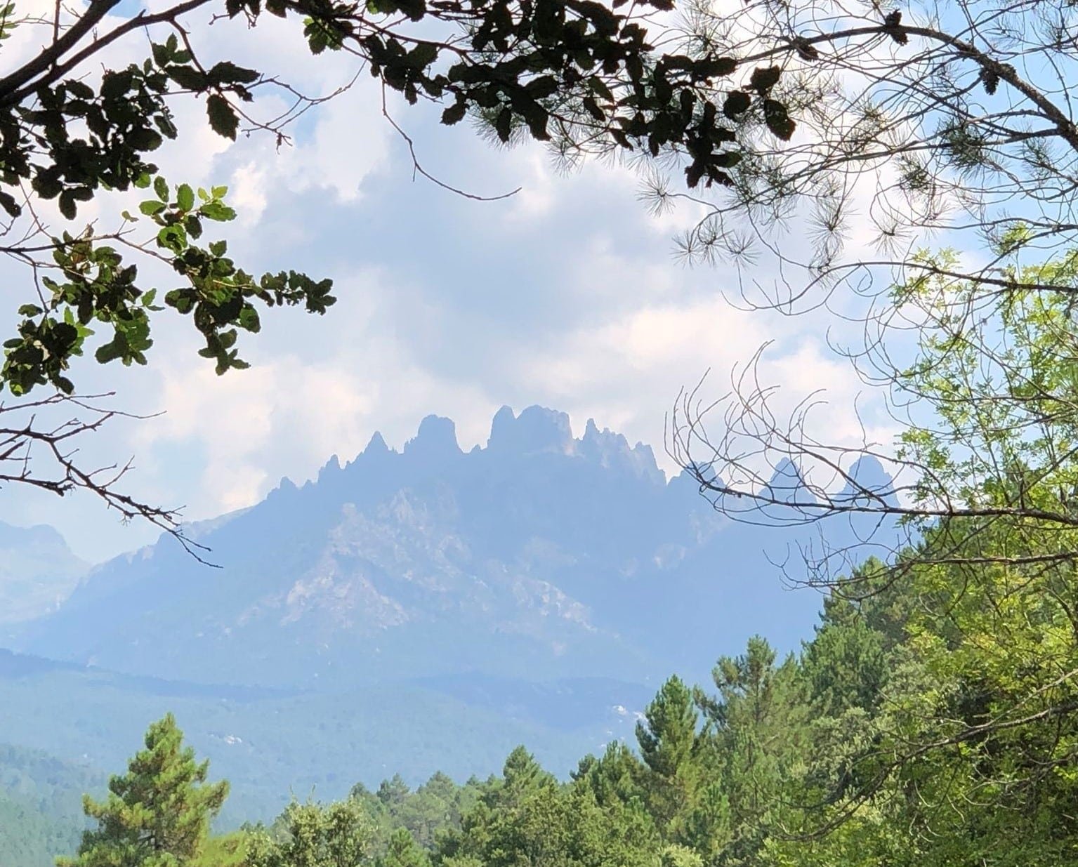 Zonza 和 Quenza 通过 Alta Rocca 步道