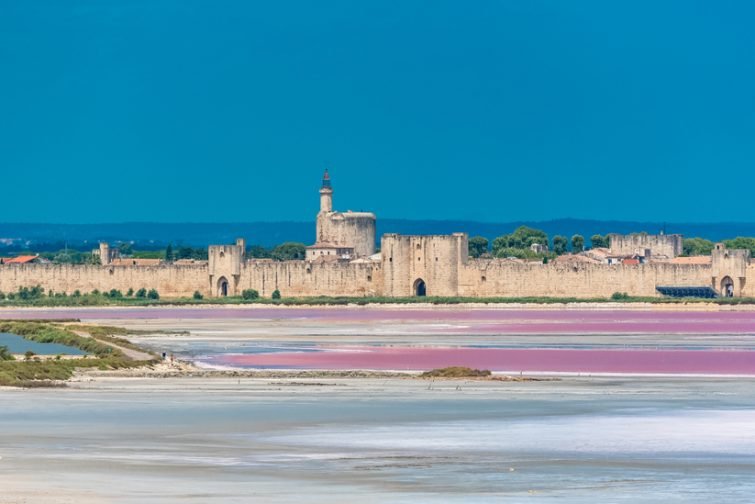 参观 Salins du Midi：The Salins du Midi 1