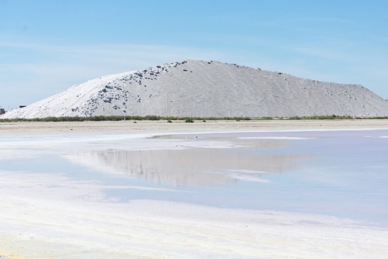 参观 Salins du Midi：The Salins du Midi 2