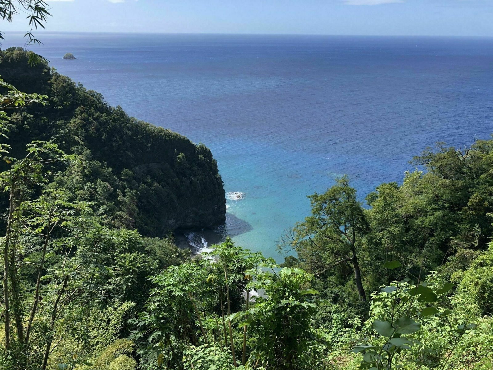 在马提尼克岛进行的 10 次最美丽的徒步旅行