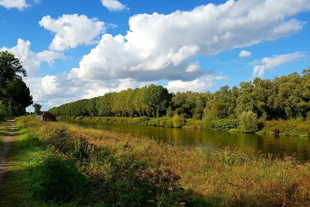 漫步里尔：Scarpe-Escaut Regional Nature Park