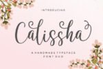 Calissha Duo Font Family Fun Font Binder