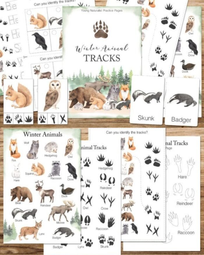 Winter Animals Tracks Unit Learning Worksheets For Kindergarden