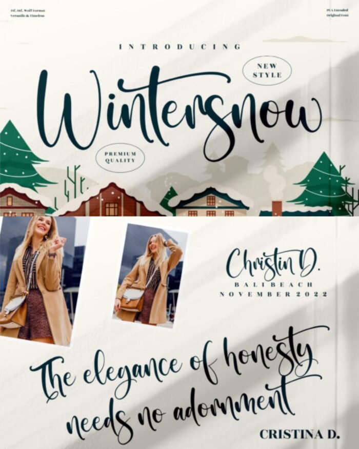 Wintersnow Handwritten Font | Whispers Elegance and Enchantment