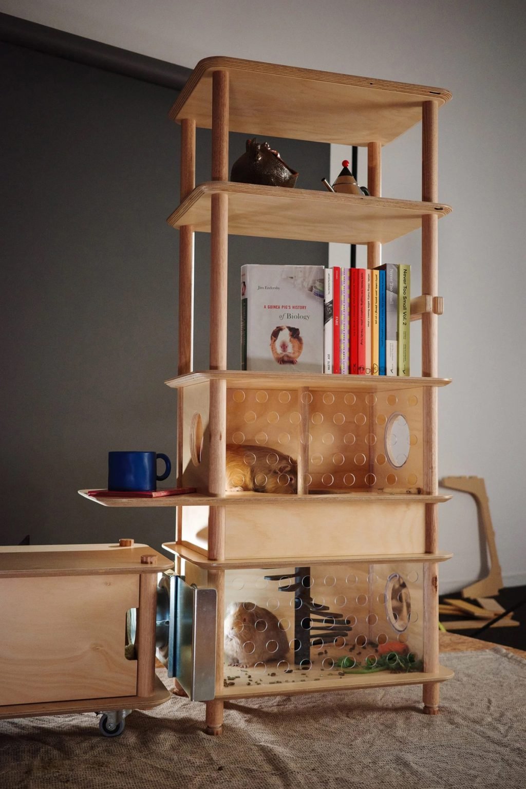 为宠物及其主人设计的巧妙家具 meubles-animaux-design-petits-espaces